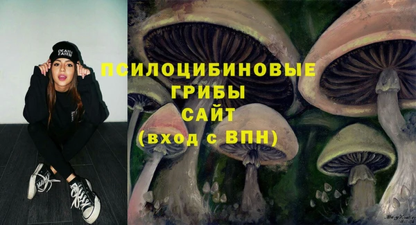 ECSTASY Абинск